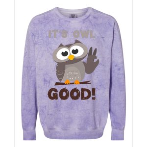 It's Owl Good It's All Good Funny Trending Owl Lover Colorblast Crewneck Sweatshirt