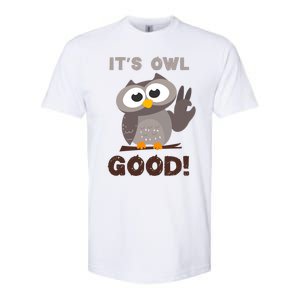 It's Owl Good It's All Good Funny Trending Owl Lover Softstyle CVC T-Shirt