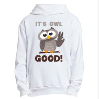 It's Owl Good It's All Good Funny Trending Owl Lover Urban Pullover Hoodie