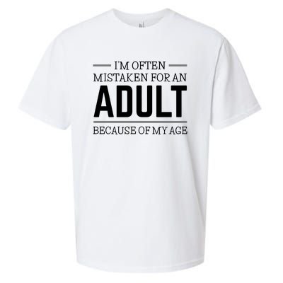 Im Often Mistaken For An Adult Because Of My Age Funny Birthday Gift Sueded Cloud Jersey T-Shirt