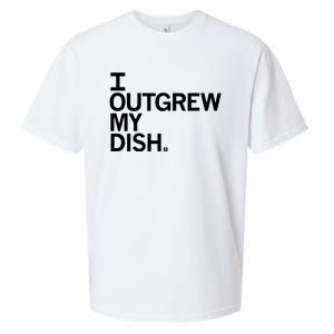 I Outgrew My Dish Sueded Cloud Jersey T-Shirt