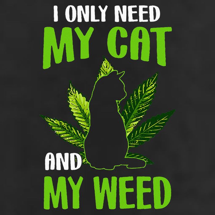 I Only Need My Cat and My Weed Funny Cat Lover 11oz C Handle Ceramic Mug
