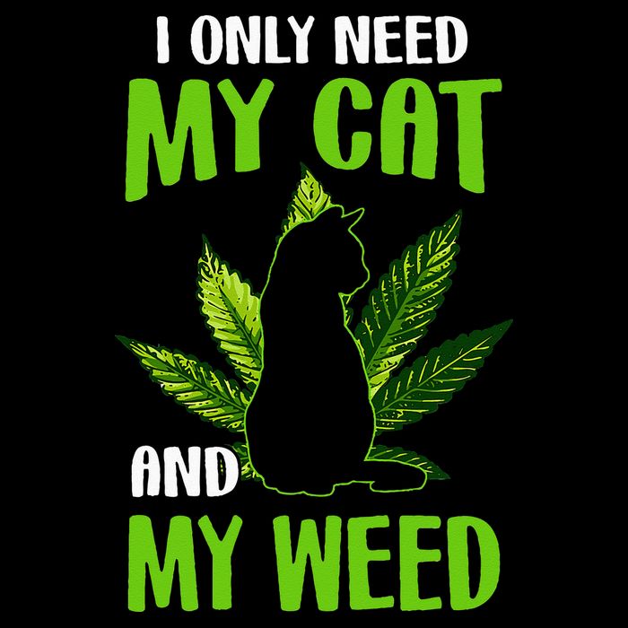 I Only Need My Cat and My Weed Funny Cat Lover Tank Top