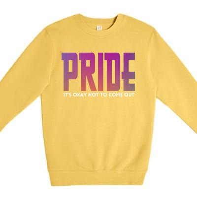 ItS Okay Not To Come Out Pride Lgbt Sexuality Respect Honor Funny Gift Premium Crewneck Sweatshirt