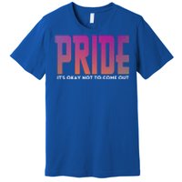 ItS Okay Not To Come Out Pride Lgbt Sexuality Respect Honor Funny Gift Premium T-Shirt