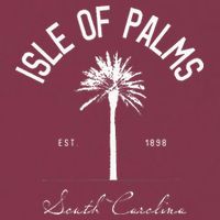 Isle Of Palms Sc Palm Tree Isle Of Palms Beach Gift 16oz Travel Tumbler