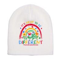 It'S Ok To Be Different Rainbow Autism Awareness Puzzle Cute Short Acrylic Beanie