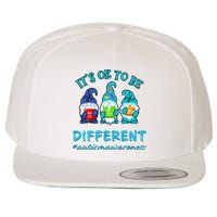 It's Ok To Be Different Autism Awareness Gnomes Wool Snapback Cap