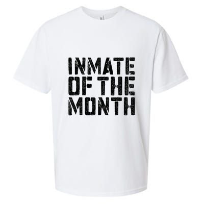 Inmate Of The Month Prisoner Costume Sueded Cloud Jersey T-Shirt