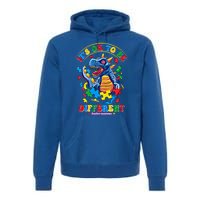 ItS Ok To Be Different Autism Awareness Dinosaur Gift Premium Hoodie