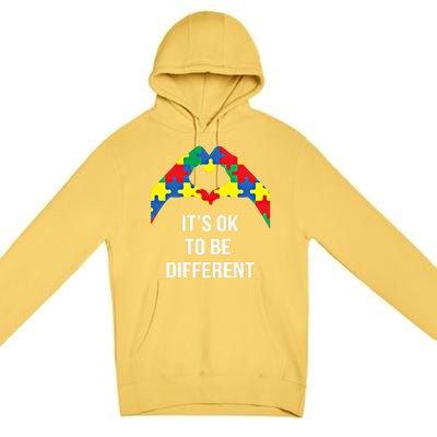 ItS Ok To Be Different Autism Awareness Month Acceptance Gift Premium Pullover Hoodie