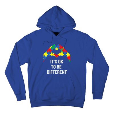 ItS Ok To Be Different Autism Awareness Month Acceptance Gift Hoodie