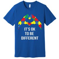 ItS Ok To Be Different Autism Awareness Month Acceptance Gift Premium T-Shirt