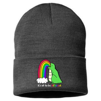 It's Ok To Be Different Autism Awareness Dinosaur Sustainable Knit Beanie