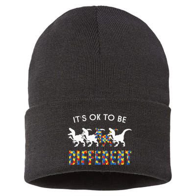 It's Ok To Be Different Autism Awareness Dinosaur Sustainable Knit Beanie