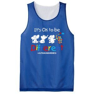 Its Ok To Be Different Autism Awareness Acceptance Wo Kid Mesh Reversible Basketball Jersey Tank