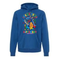 ItS Ok To Be Different Autism Awareness Dinosaur Great Gift Premium Hoodie