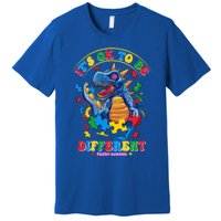 ItS Ok To Be Different Autism Awareness Dinosaur Great Gift Premium T-Shirt