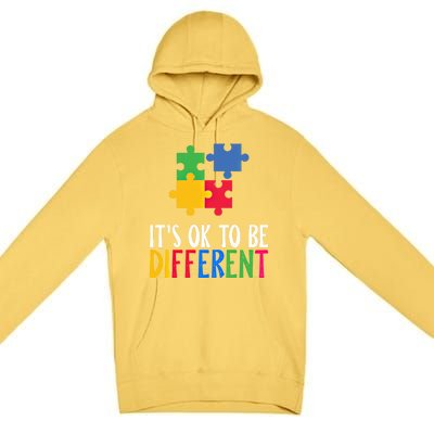 Its Ok To Be Different Be Kind Autism Awareness Autism Meaningful Gift Premium Pullover Hoodie