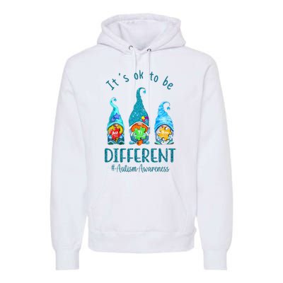 It's Ok To Be Different Autism Awareness Gnome Premium Hoodie