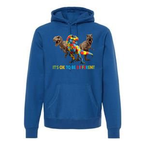 ItS Ok To Be Different Dinosaur Autism Awareness Funny Gift Premium Hoodie