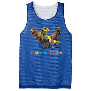 ItS Ok To Be Different Dinosaur Autism Awareness Funny Gift Mesh Reversible Basketball Jersey Tank