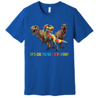 ItS Ok To Be Different Dinosaur Autism Awareness Funny Gift Premium T-Shirt