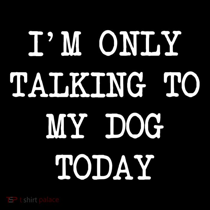 IM Only Talking To My Dog Today Funny Puppy Parent Premium T-Shirt