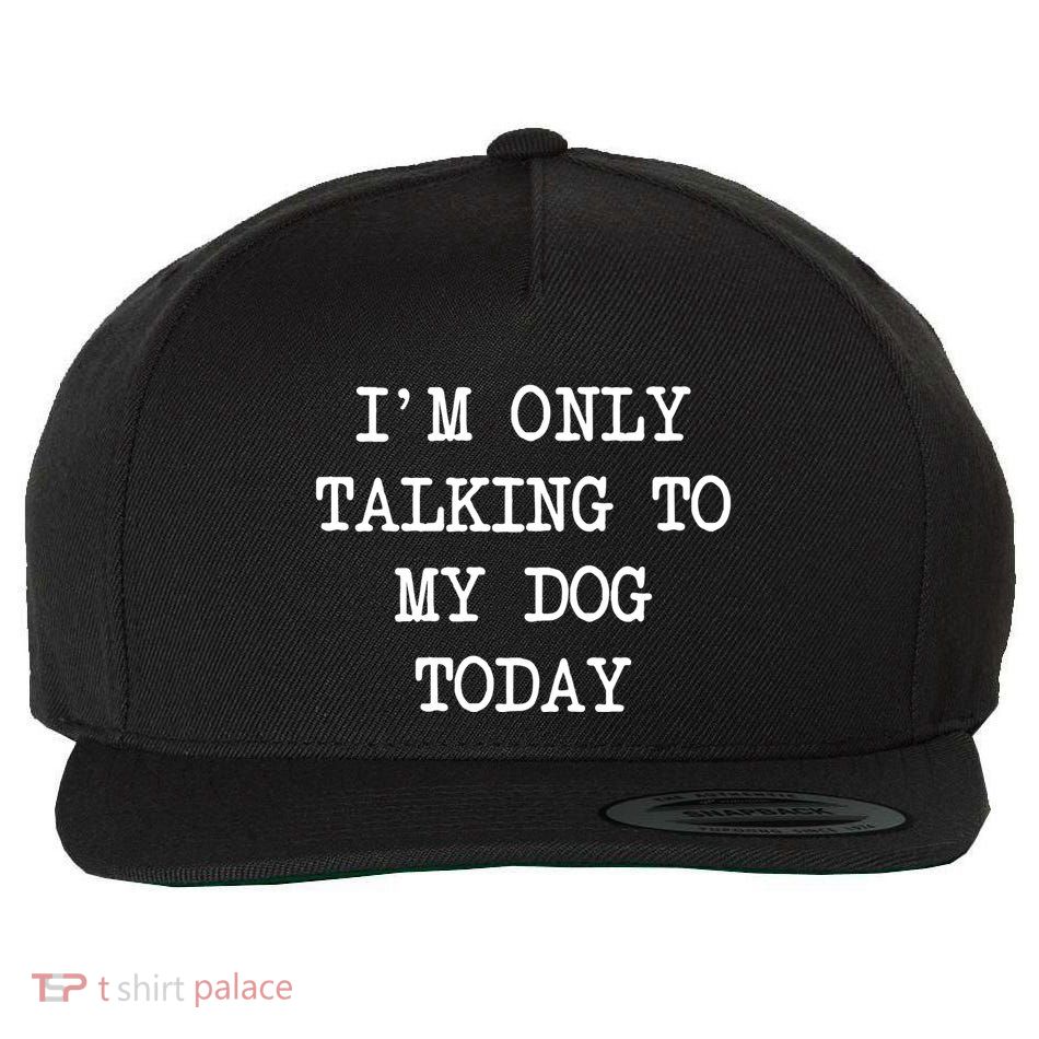 IM Only Talking To My Dog Today Funny Puppy Parent Wool Snapback Cap