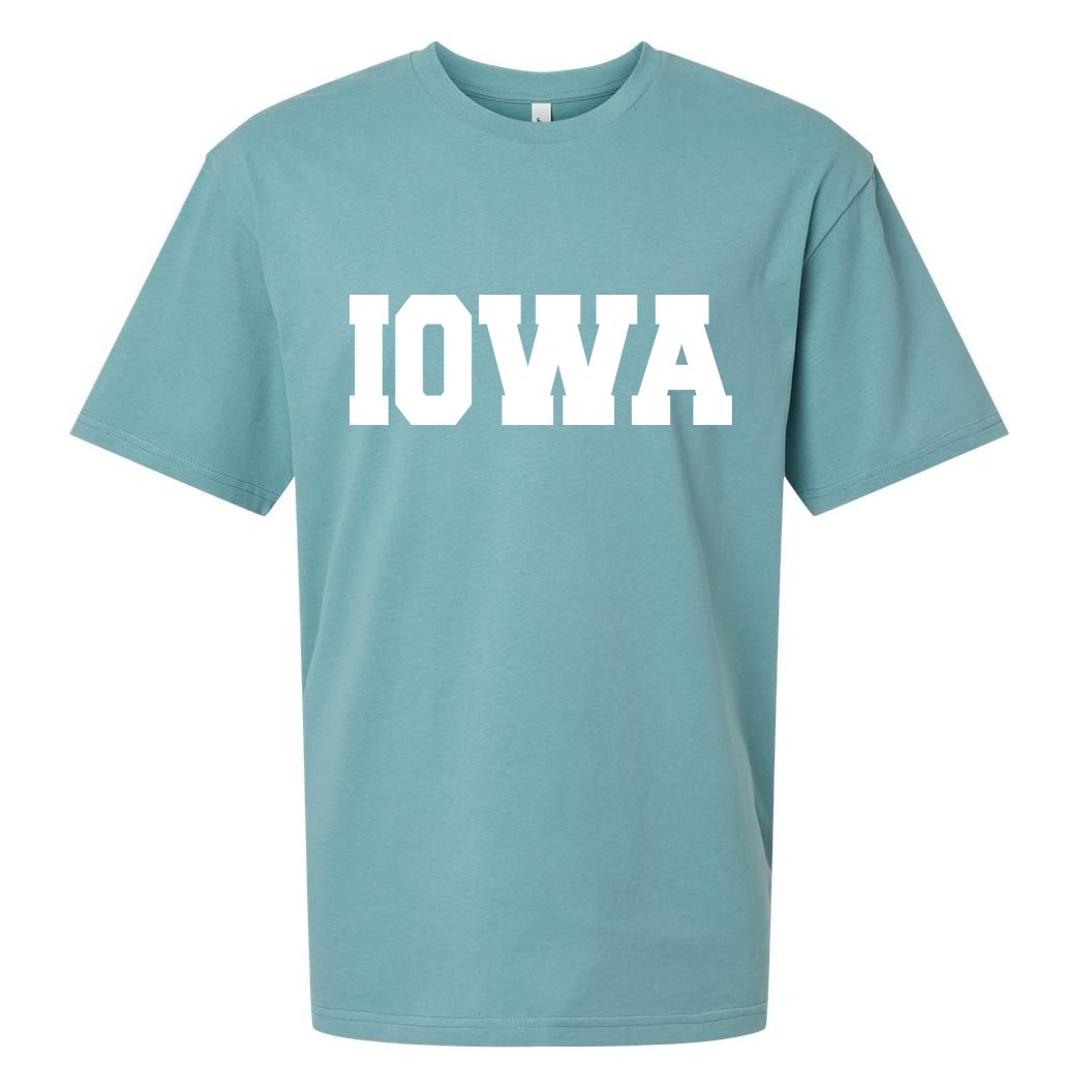 IOWA Team College University Logo Sueded Cloud Jersey T-Shirt