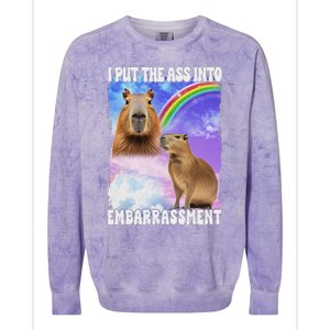 I Put Ass Into Embarrassment Embarrassing Meme Culture Colorblast Crewneck Sweatshirt