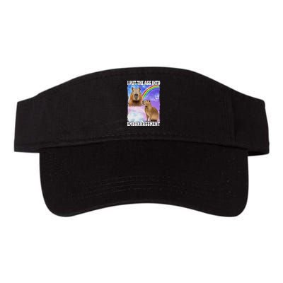 I Put Ass Into Embarrassment Embarrassing Meme Culture Valucap Bio-Washed Visor