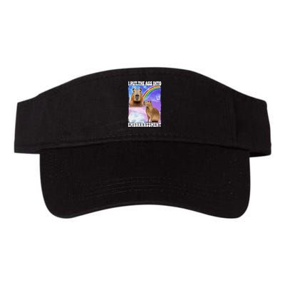 I Put Ass Into Embarrassment Embarrassing Meme Culture Valucap Bio-Washed Visor
