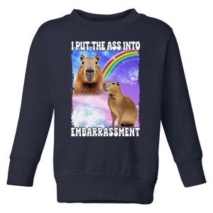 I Put Ass Into Embarrassment Embarrassing Meme Culture Toddler Sweatshirt