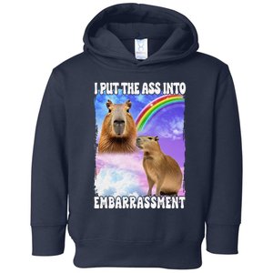 I Put Ass Into Embarrassment Embarrassing Meme Culture Toddler Hoodie