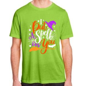 I Put A Spell On You Meaningful Gift Funny Witch Broom Halloween Gift Adult ChromaSoft Performance T-Shirt