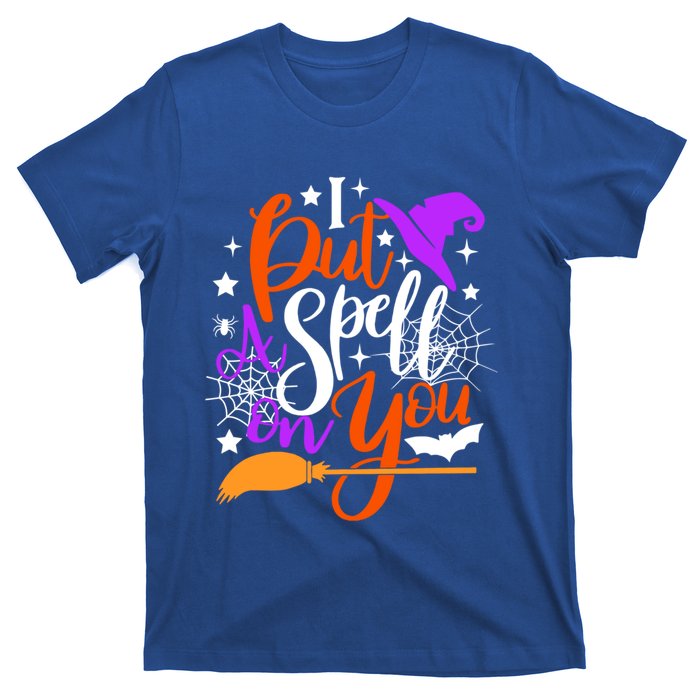 I Put A Spell On You Meaningful Gift Funny Witch Broom Halloween Gift T-Shirt