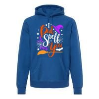 I Put A Spell On You Meaningful Gift Funny Witch Broom Halloween Gift Premium Hoodie