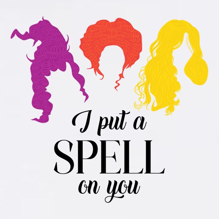 I Put A Spell On You Halloween Witch Magnet