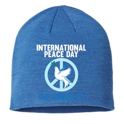 International Peace Day Earth World Peace Day Lover Graphic Gift Sustainable Beanie