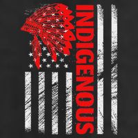 Indigenous Peoples Day Distressed Headdress Usa Flag 7 Panel Mesh Trucker Snapback Hat