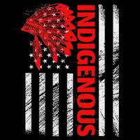 Indigenous Peoples Day Distressed Headdress Usa Flag Cooling Performance Crew T-Shirt