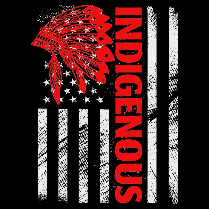 Indigenous Peoples Day Distressed Headdress Usa Flag Bucket Hat