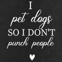 I Pet Dogs So I DonT Punch People Funny Dog Lover Adult Drive Performance Visor