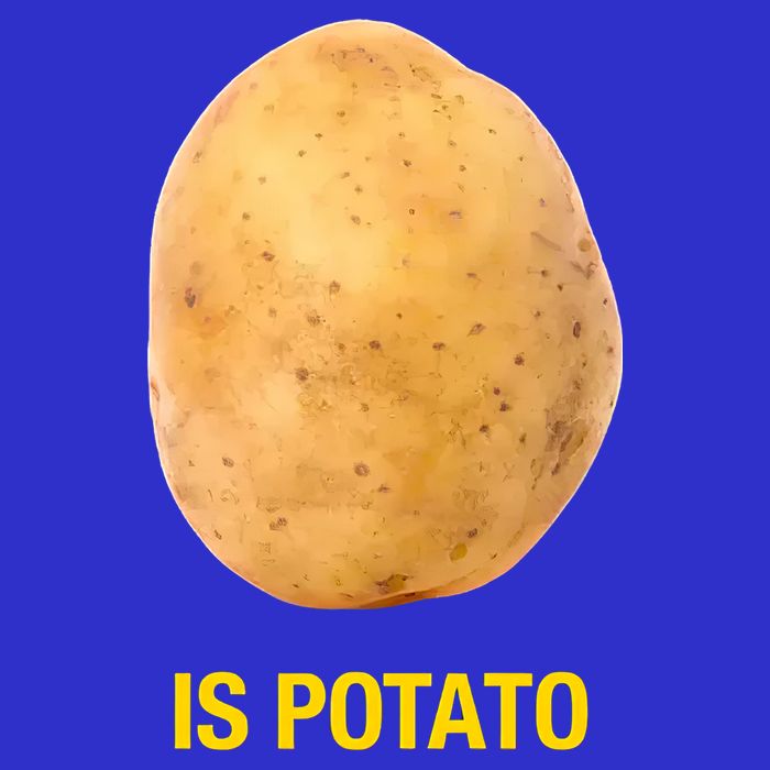 Is Potato Funny Late Show Meme Comedy TV Saying 16 in Basic Backpack