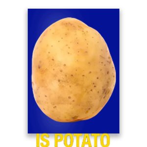 Is Potato Funny Late Show Meme Comedy TV Saying Poster