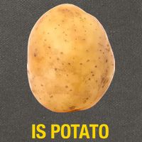 Is Potato Funny Late Show Meme Comedy TV Saying Cotton Canvas Backpack
