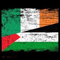 Ireland Palestine Flags Half Irish Half Palestinian Youth Performance Sprint T-Shirt