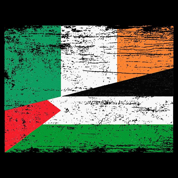 Ireland Palestine Flags Half Irish Half Palestinian Women's Crop Top Tee