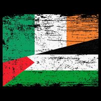 Ireland Palestine Flags Half Irish Half Palestinian Cropped Pullover Crew
